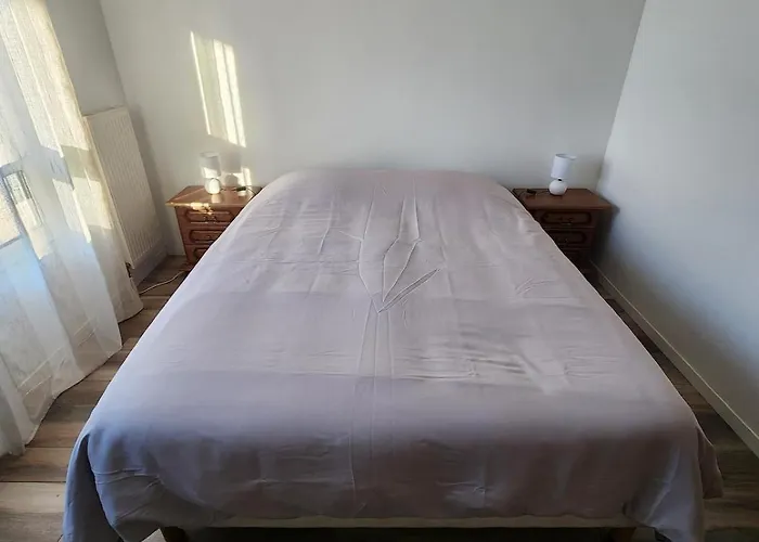 Rez-de-jardin Avec Terrasse Privative Kingersheim